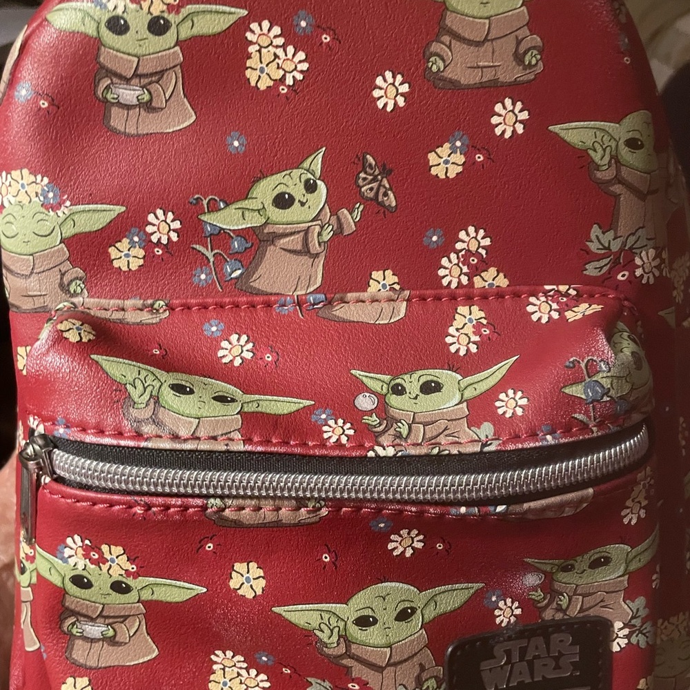 Disney backpack and unbranded RFID bag